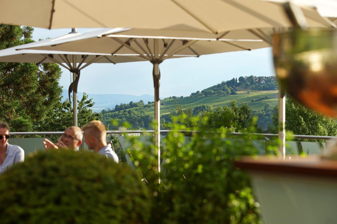 Hotel Villa Elben Loerrach Bei Basel Buitenkant foto